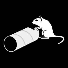 give a toy to the gerbil
